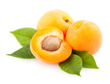 Abricot, fiche diététique