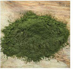 La spiruline, faut-il en consommer ?